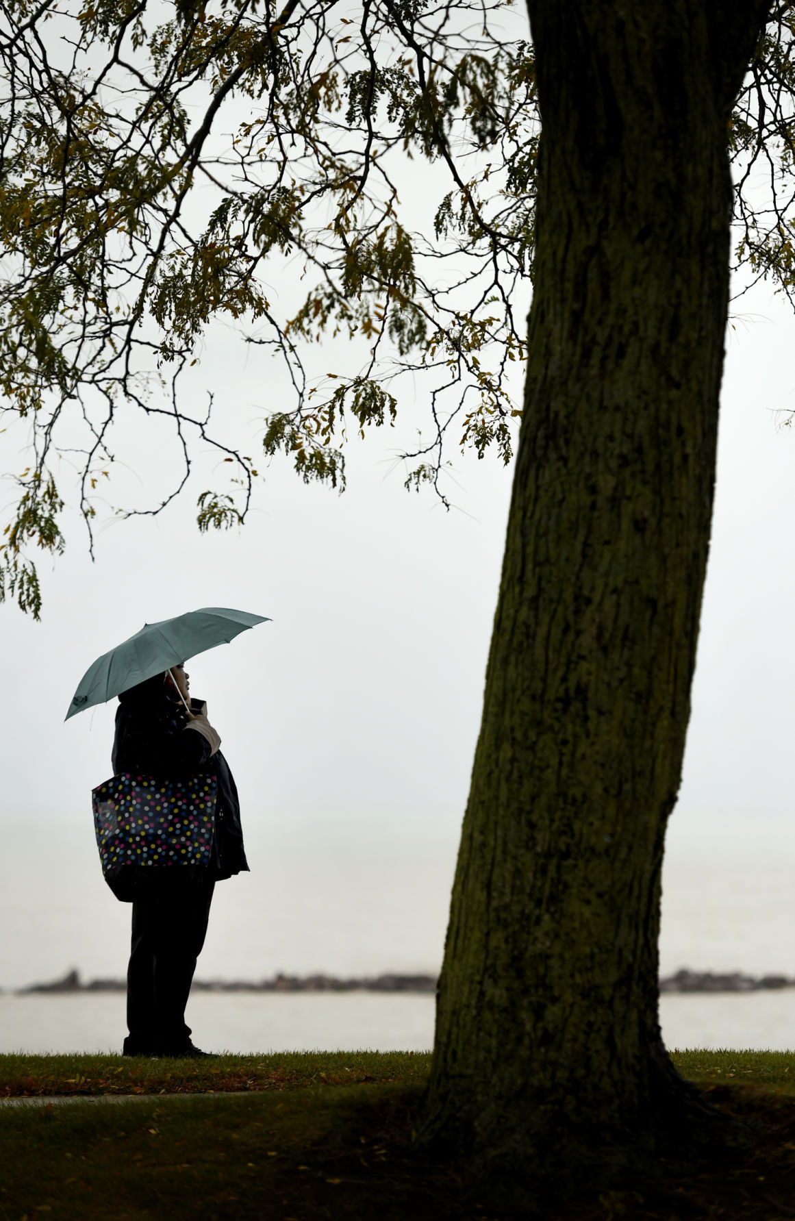 Waiting in the Rain